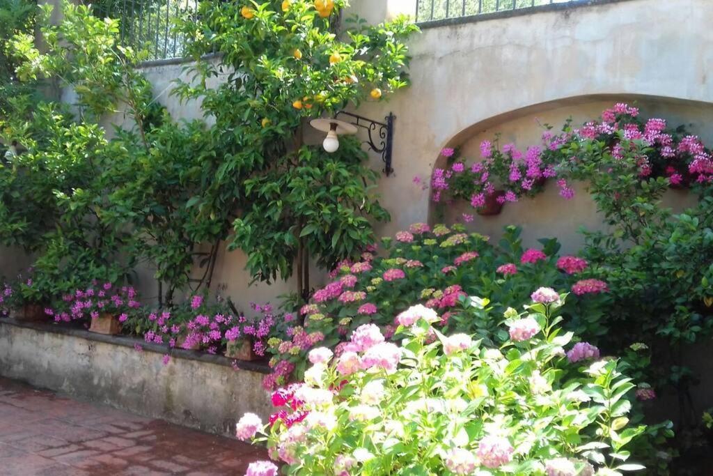 Apartment In Luxuryproperty Privatepool Garden Bbq Airc X8 Кастельнуово-ди-Порто Экстерьер фото